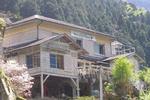 Momonga Village