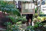 Caribic House