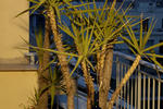 Photos of Hotel Solomou
