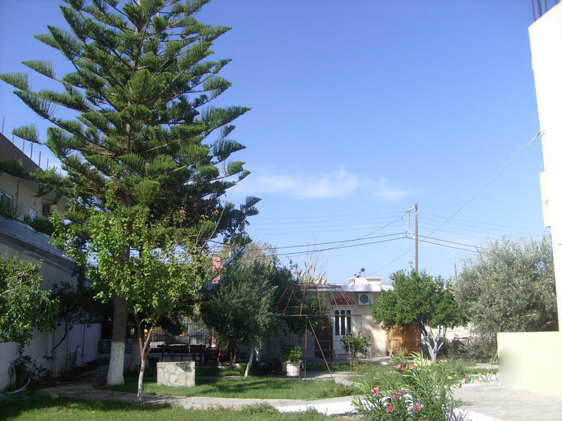 Creta Hostel  3
