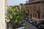 B&B agli Scavi