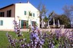 Hotel Giappone Inn - Image 6