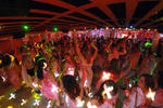 The Pink Palace - Image 4
