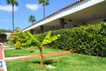 Parthenon Resort Gran Canaria