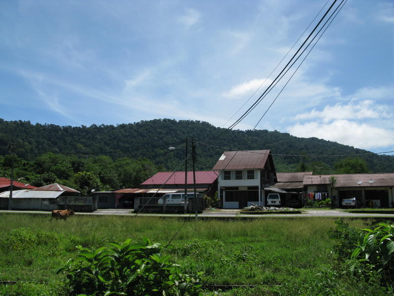 Sarong Hostel  0