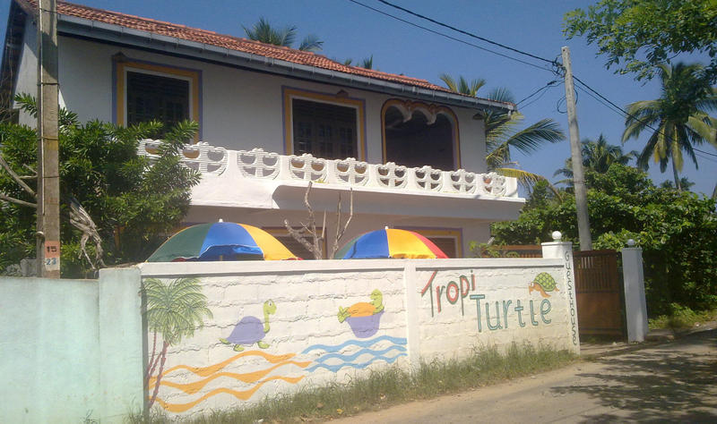 TropiTurtle Guesthouse  0