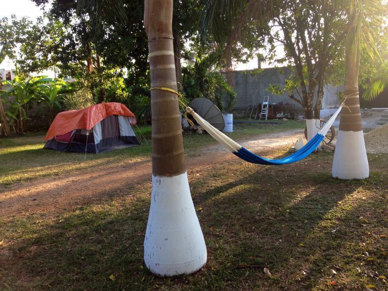 Yaxche Centro Hostel y Camping  2