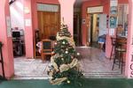 Hotel Dorothy - Image 7