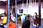Jungle Party Hostal - Image 3