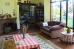 Jungle Monkey and The Island Backpackers Lodge - Image 4