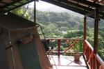 Jungle Monkey and The Island Backpackers Lodge - Image 5