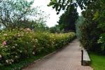 B&B Eurialo - Image 2