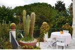 B&B Eurialo - Image 8