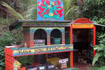 Hedonisia Hawaii Eco-Hostel - Image 3