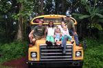 Hedonisia Hawaii Eco-Hostel - Image 5