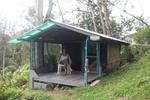 Hedonisia Hawaii Eco-Hostel - Image 6