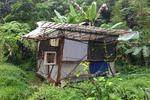 Hedonisia Hawaii Eco-Hostel - Image 9