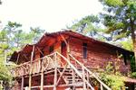 Kadir's Tree House - Image 6