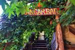 Kadir's Tree House - Image 7