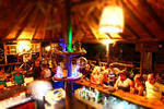 Kadir's Tree House - Image 9