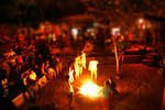 Kadir's Tree House - Image 10