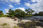 Arnotts Lodge & Hiking Adventures - Image 3