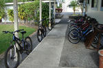 Arnotts Lodge & Hiking Adventures - Image 9