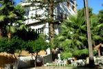 Hostal La Mimosa - Image 2