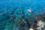 Sharks Cove Rentals - Image 1