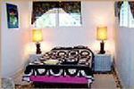 Sharks Cove Rentals - Image 3