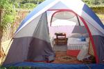 Sharks Cove Rentals - Image 6