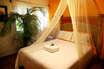 Norman Diego's The Mexican Inn - Image 3