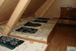 Rolling Stone Hostel - Image 6