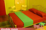 Red Palm - Image 3