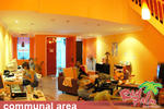 Red Palm - Image 4