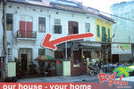 Red Palm - Image 5