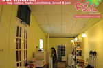 Red Palm - Image 7