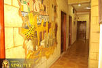 King Tut Hostel - Image 7
