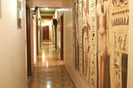 King Tut Hostel - Image 10