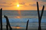 Manglaralto Sunset Hostel - Image 4