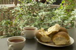 Glebe Village Backpackers - Image 10
