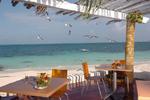 Maya Caribe - Image 2