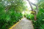 Maya Caribe - Image 8