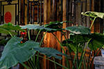 The Great Wall Courtyard Hostel - Image 6