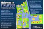 Pinewood - Image 5