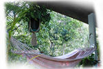 A Peace of Paradise - Image 7