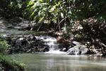 A Peace of Paradise - Image 8