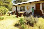 Cafayate Backpackers Hostel - Image 2