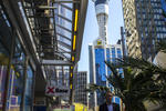 Base Auckland - Image 8