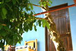Mi Casa Hostel - Image 8